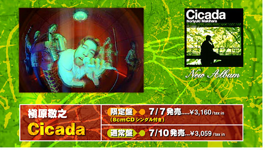 槇原敬之 Cicada